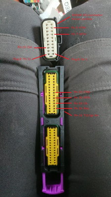 Z005.JPG