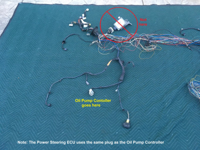 IMG_6864 labeled.jpg