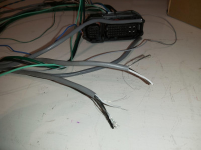 twisted pair.jpg