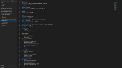PlatformIO Config File