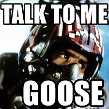 talk to me Goose.jpg