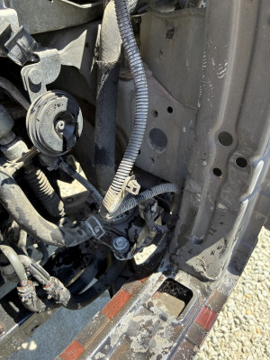 IMG_1154.JPG