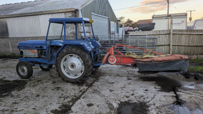 PXL_20251025_163737535.MP (1).jpg