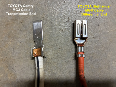 IMG_5774 labeled.jpg