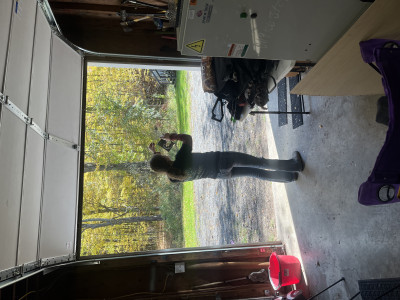 IMG_4356.jpeg