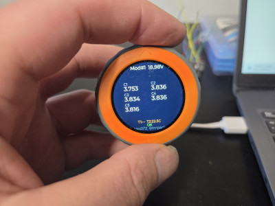 individual module view.jpg