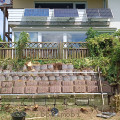 1750963732634.jpg