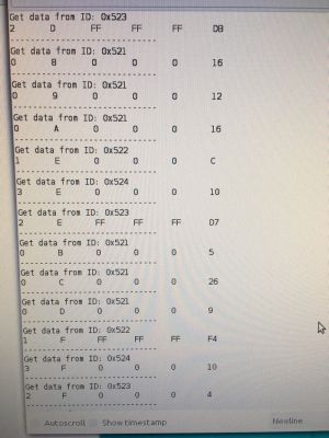 CAN bus messages on serial console